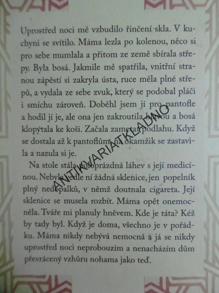 V ZEMI MUŽŮ, HISHAM MATAR, **an
