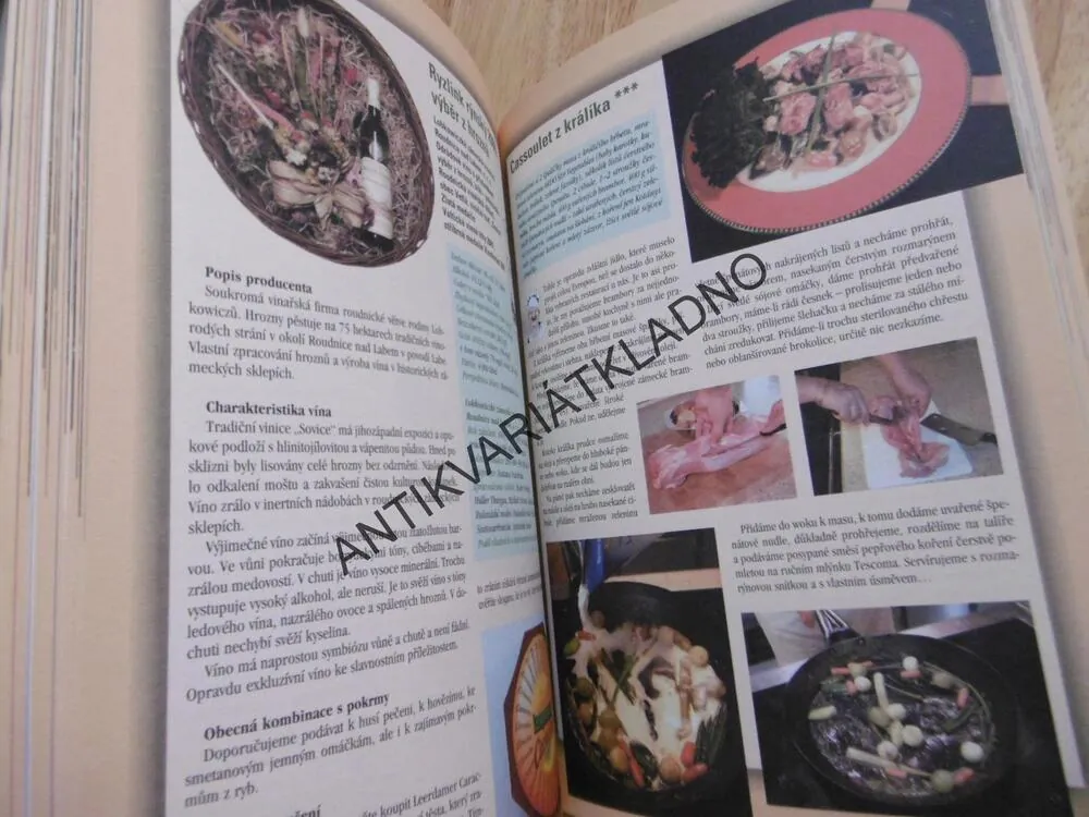 VELKÁ KNIHA O KRÁSE SNOUBENÍ VÍN A POKRMŮ, BÁRTA, ČERNÝ, **an