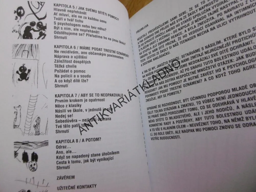 ŠIKANA VE ŠKOLE, NA ULICI, DOMA, JAK BRÁNIT SVÉ DÍTĚ..., BOURCET, GRAVILLONOVÁ