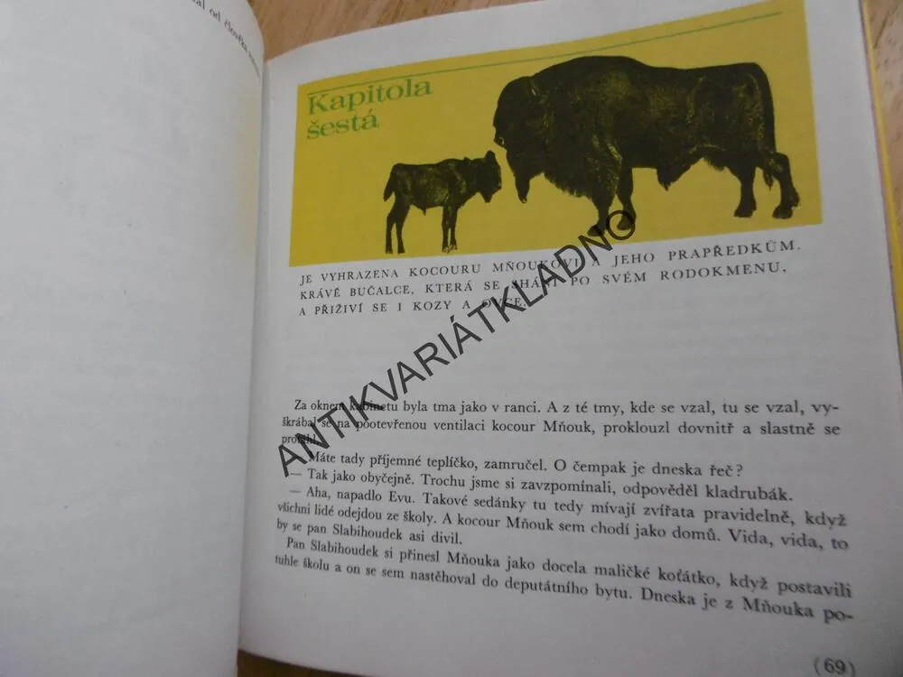 DOBRODRUŽSTVÍ V ČTVRTOHORÁCH, PETR KETTNER, **an