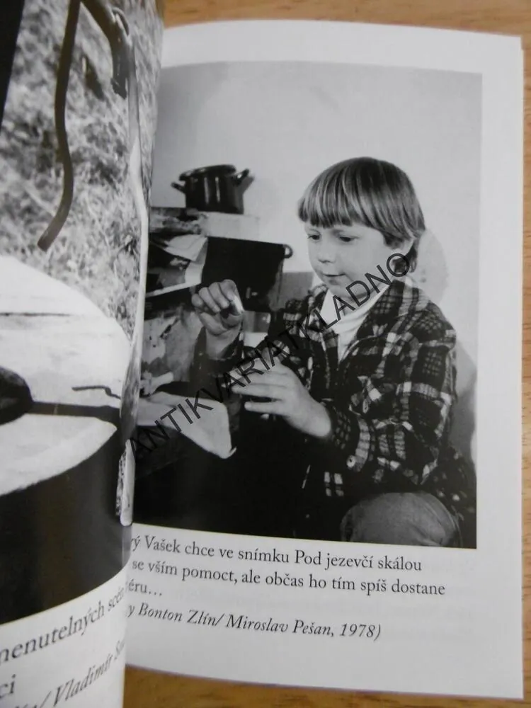 TOMÁŠ HOLÝ, KLUK, KTERÝ NIKDY NEZESTÁRL, JAN BRDIČKA
