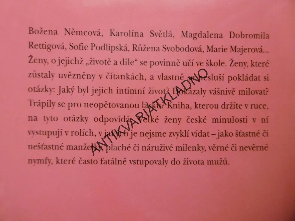 SPISOVATELKY A EROS, MARTINA BITTNEROVÁ, UTAJENÉ ŽIVOTY VELKÝCH ČESKÝCH ŽEN