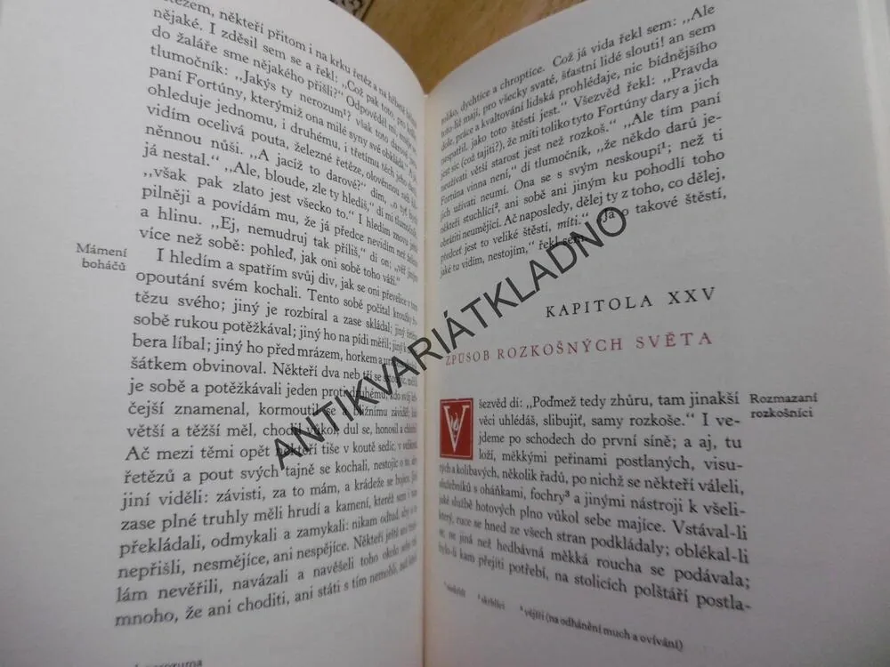 LABYRINT SVĚTA A RÁJ SRDCE, JAN ÁMOS KOMENSKÝ, **an