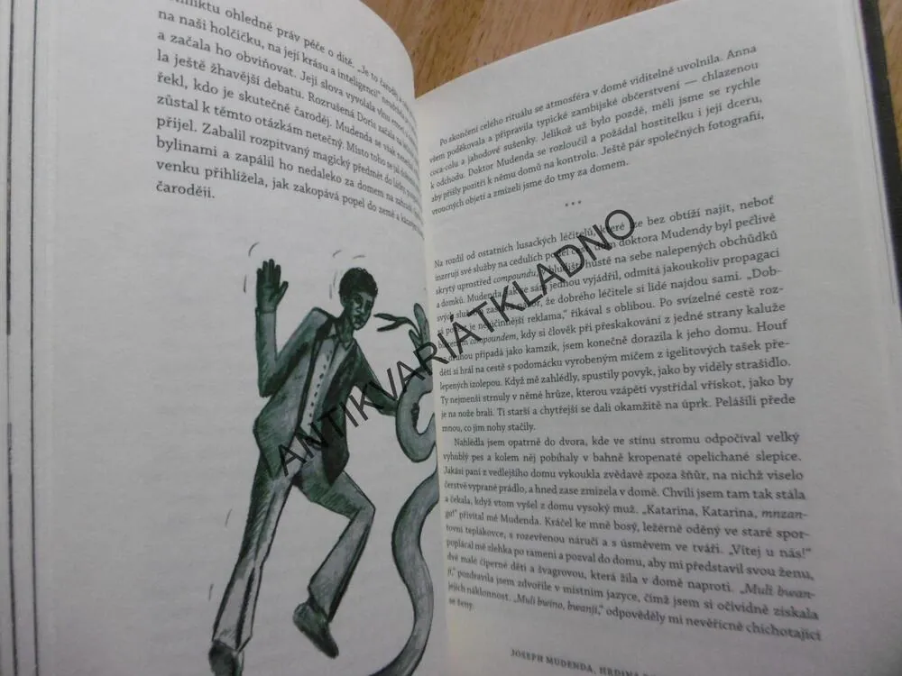 MŮJ SOUSED JE ČARODĚJ, KATEŘINA MILDNEROVÁ, **an
