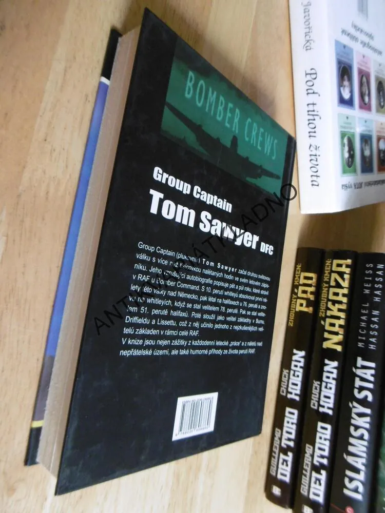 JENOM SOVY A ZATRACENÍ BLÁZNI LÉTAJÍ V NOCI, TOM SAWYER DFC, **an