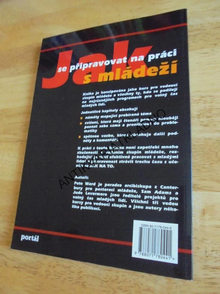 JAK SE PŘIPRAVOVAT NA PRÁCI S MLÁDEŽÍ, SOCIÁLNÍ DOVEDNOSTI, **an