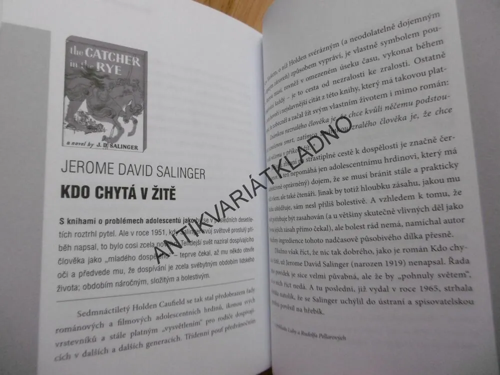 STO NEJVÝZNAMNĚJŠÍCH KNIH SVĚTOVÉ HISTORIE, HANA PRIMUSOVÁ, **an