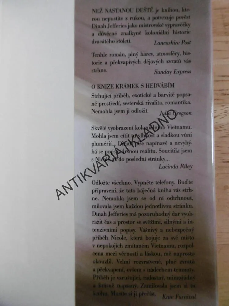 NEŽ NASTANOU DEŠTĚ, DINAH JEFFERIES