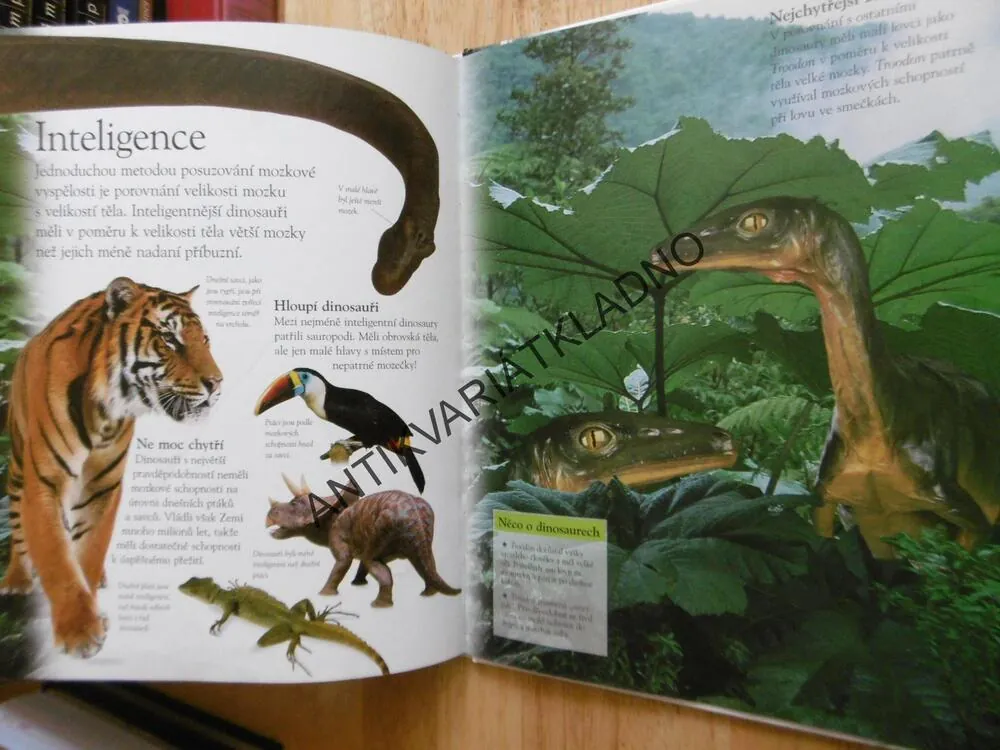 DINOSAUŘI, ŽIVOT, POTRAVA, NÁMLUVY, SOUBOJE, JAK VYHYNULI