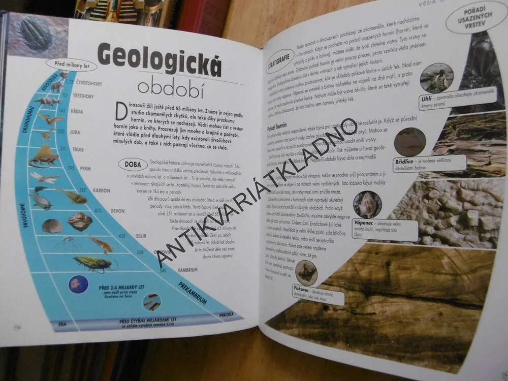 KDYBY DINOSAUŘI ŽILI DNES