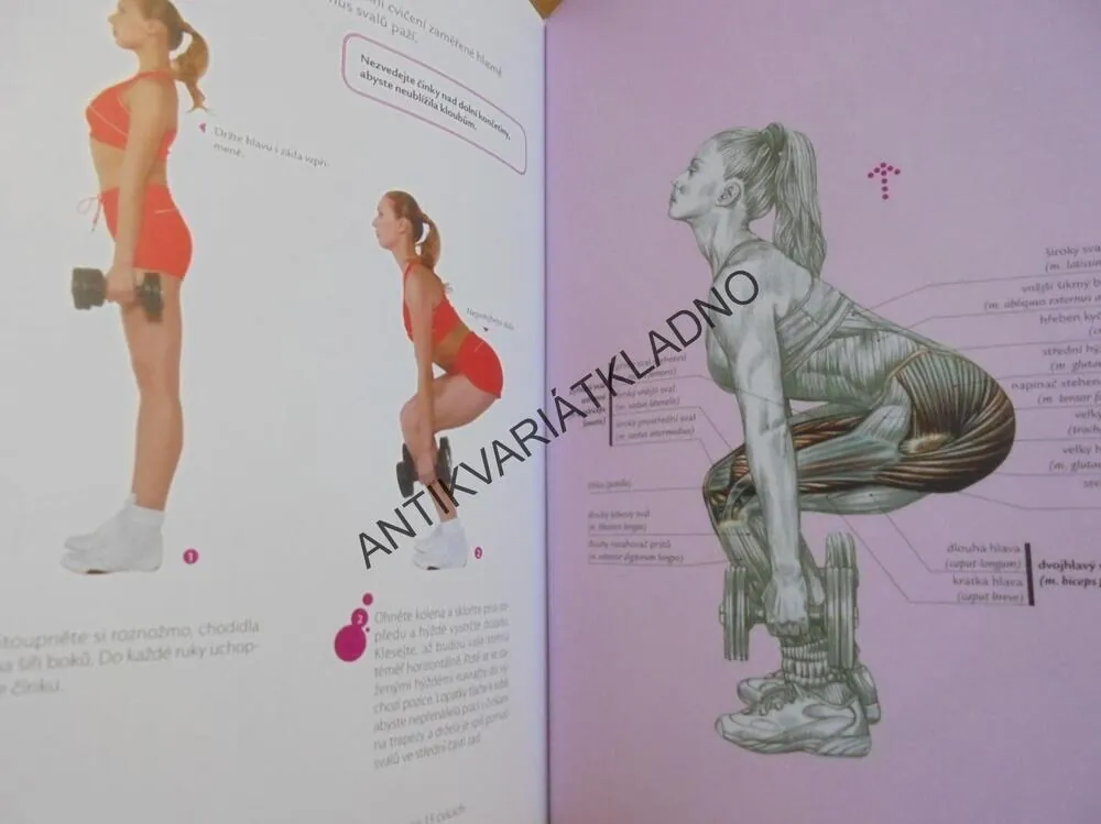 FITNESS PRO ŽENY, ANATOMIE, DELAVIER, POSILOVÁNÍ,SPORT
