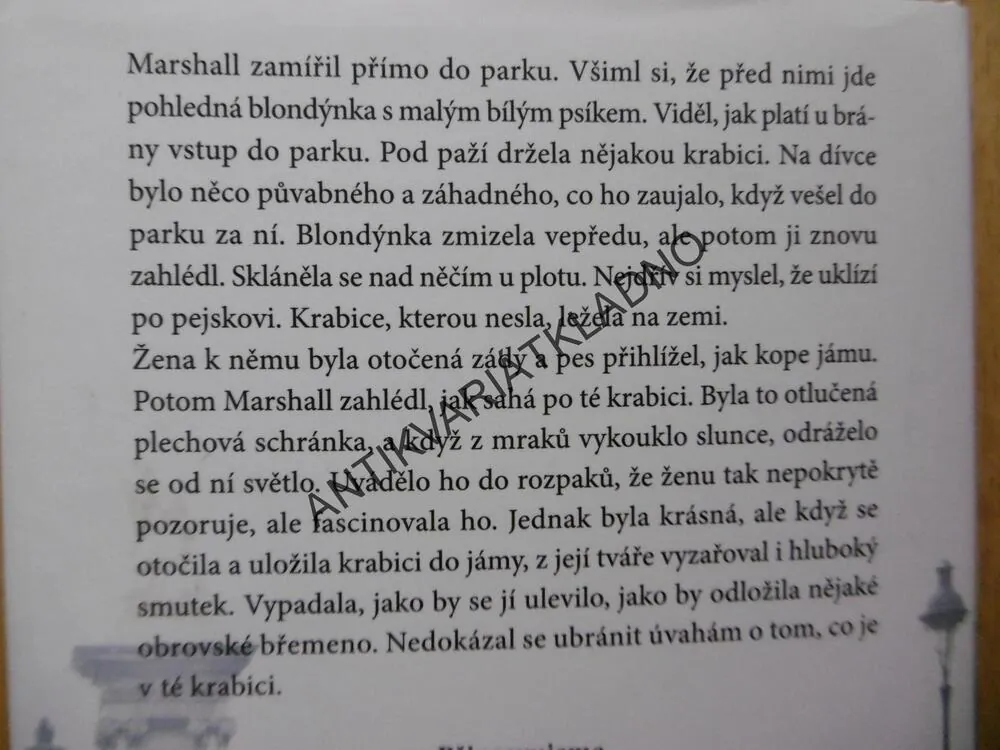 V UTAJENÍ, DANIELLE STEEL