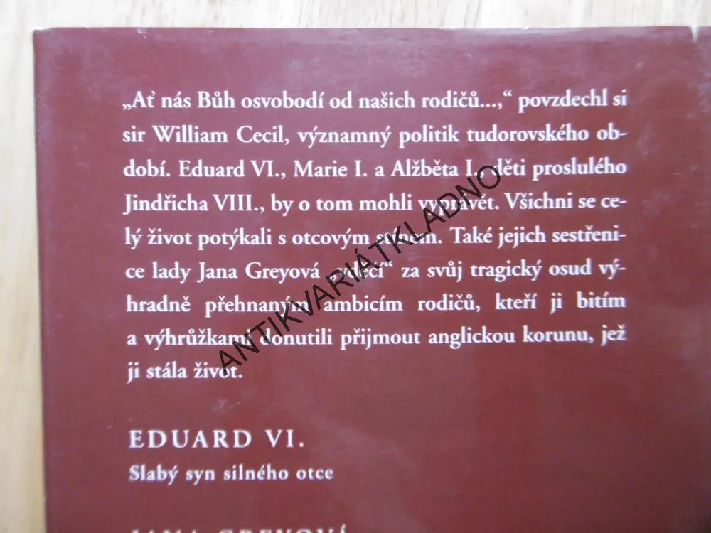 DĚTI ANGLIE, ALISON WEIROVÁ