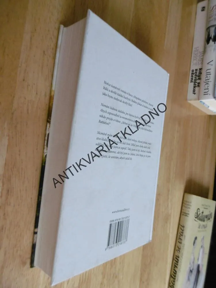 100 DNÍ ŠTĚSTÍ, FAUSTO BRIZZI, **an