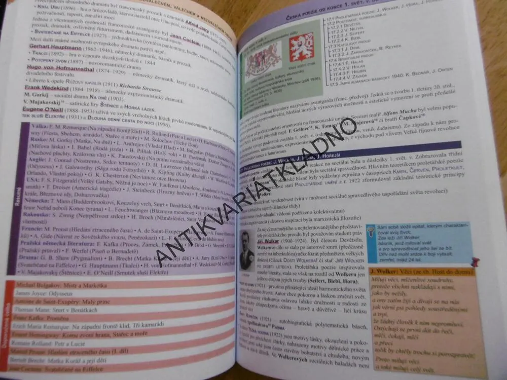 LITERATURA PŘEHLED STŘEDOŠKOLSKÉHO UČIVA, EDICE MATURITA