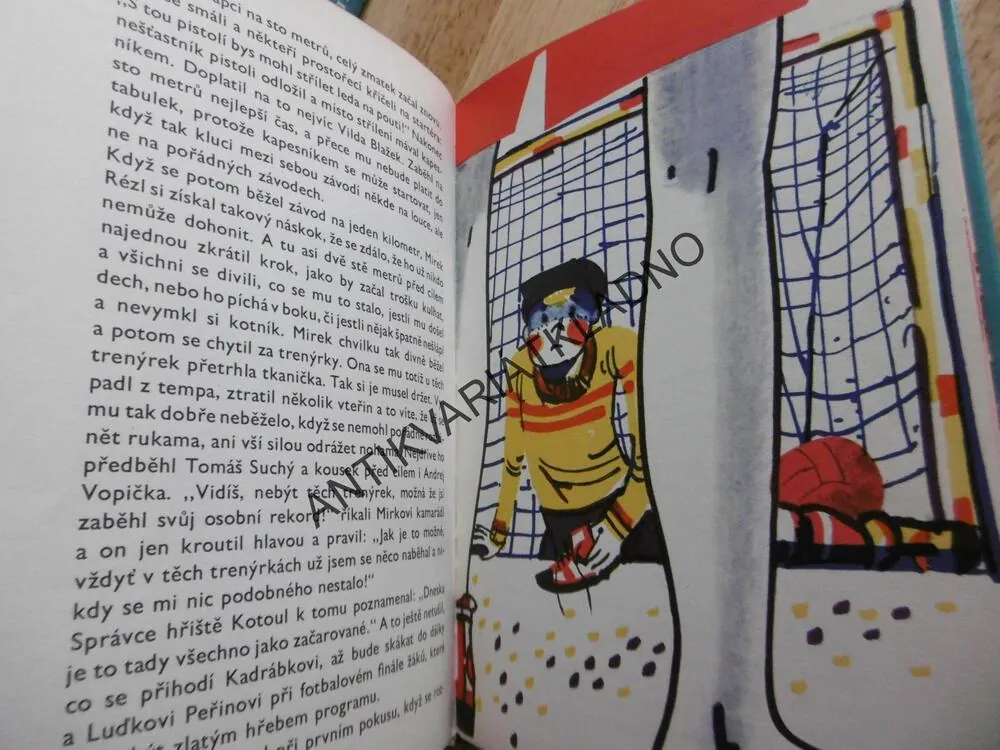 O UPOVÍDANÉM BRANKÁŘI, MIRKO PARÁČEK,HOKEJ, SPORT, 1965