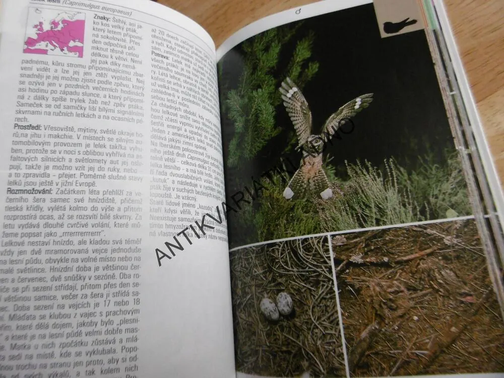 PTÁCI LESŮ, LUK A POLÍ, PRŮVODCE PŘÍRODOU