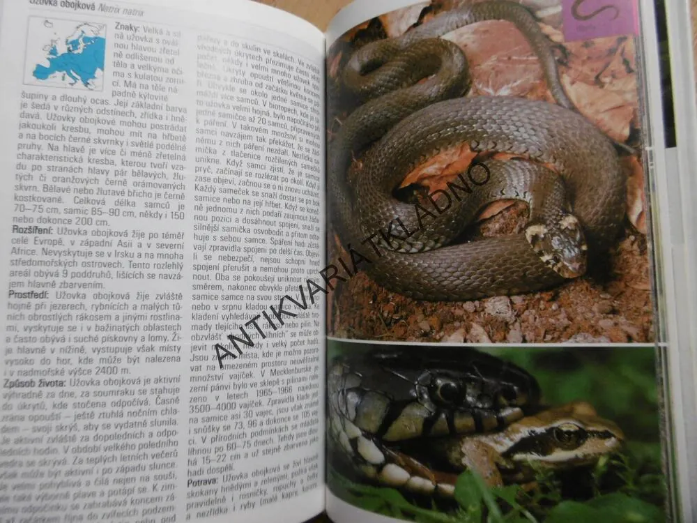 OBOJŽIVELNÍCI A PLAZI, PRŮVODCE PŘÍRODOU, **an