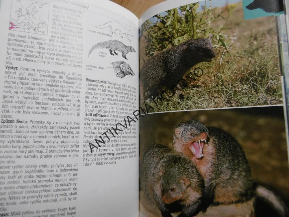 SAVCI, PRŮVODCE PŘÍRODOU, **an