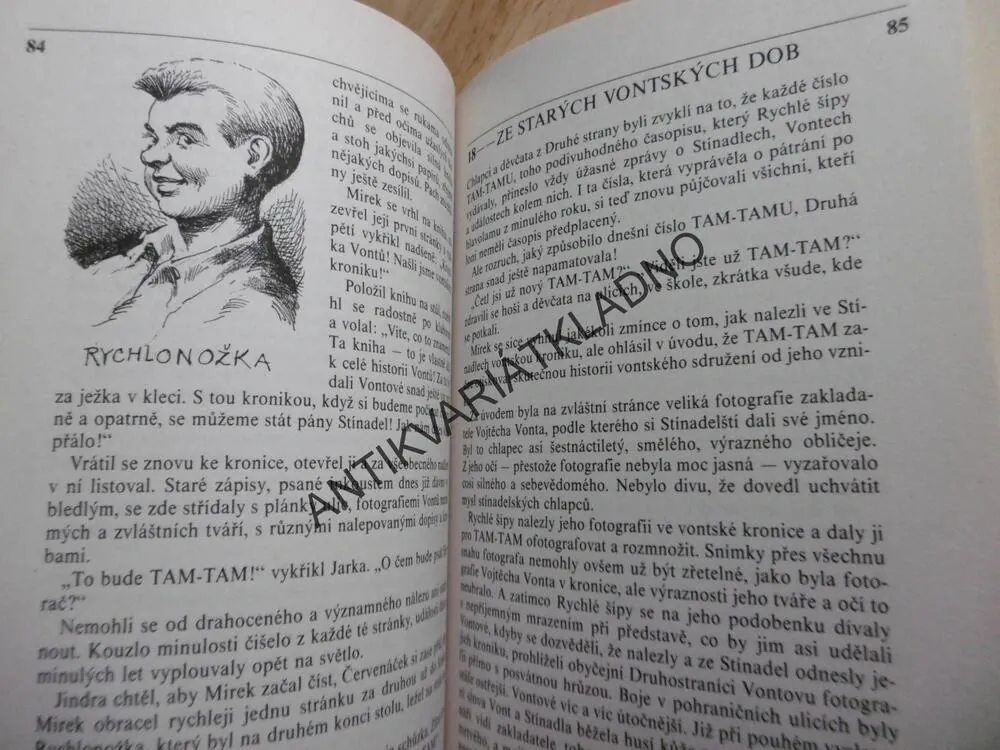 STÍNADLA SE BOUŘÍ, JAROSLAV FOGLAR, RYCHLÉ ŠÍPY, **an