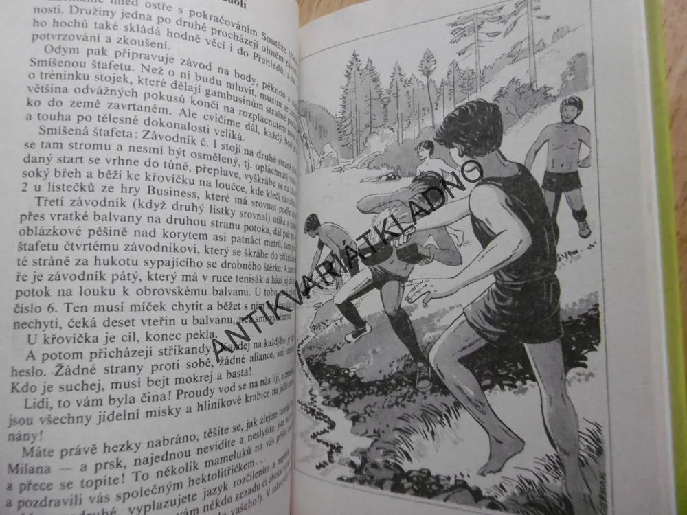 KRONIKA HOCHŮ OD BOBŘÍ ŘEKY, JAROSLAV FOGLAR
