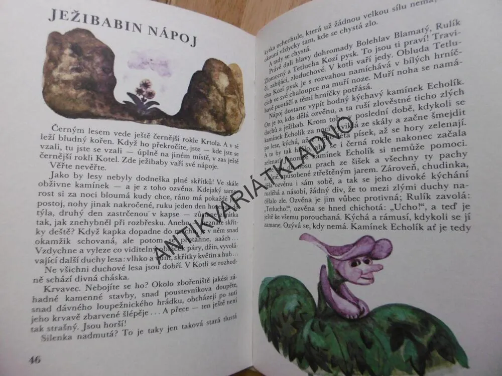 ZAPOMENUTÁ KORUNKA, JANA ŠTROBLOVÁ, JULIE SVOBODOVÁ, 1978, **an