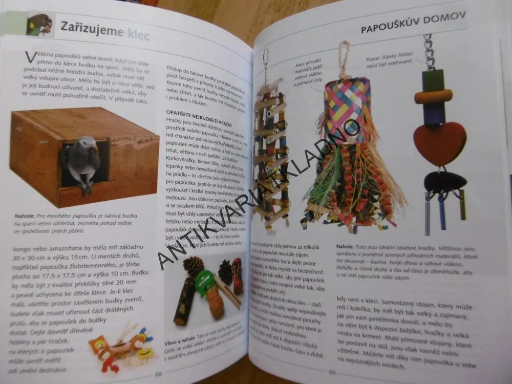 ŠKOLA PRO PAPOUŠKY, GREG GLENDELL