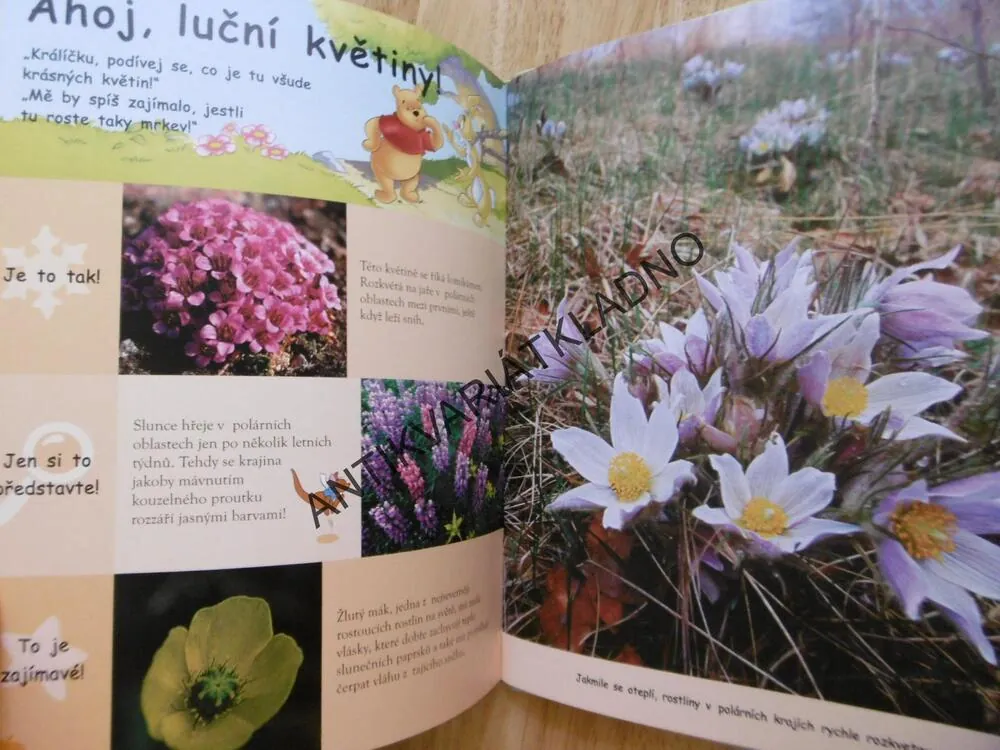 MOJE PRVNÍ KNIHA POLÁRNÍCH OBLASTÍ S MEDVÍDKEM PÚ A JEHO PŘÁTELI