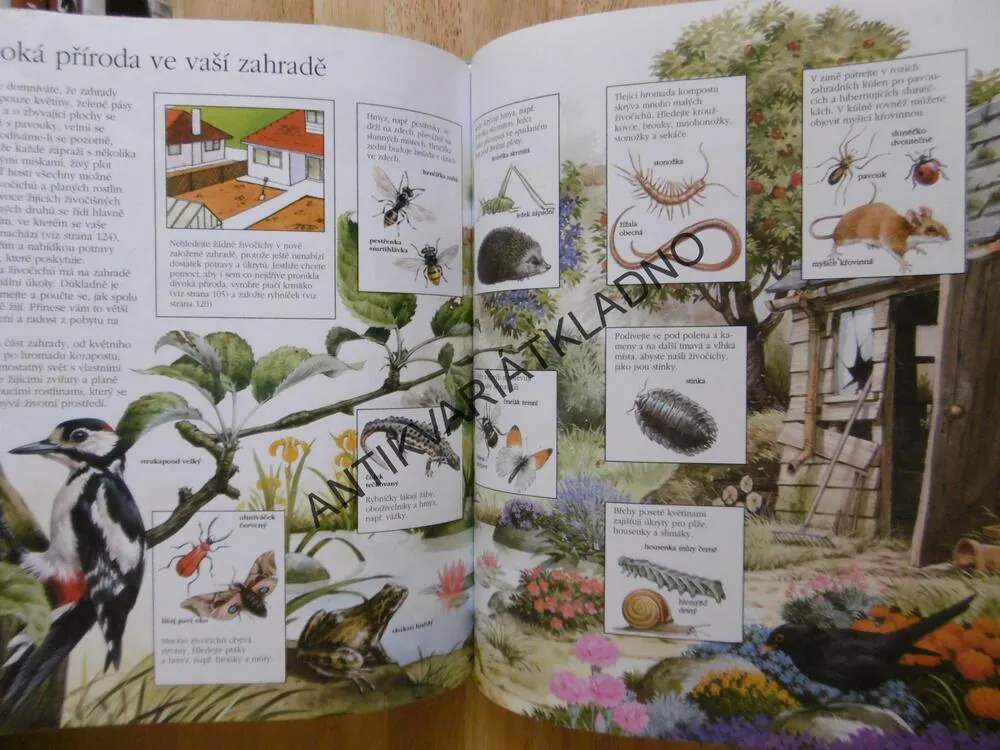 PRŮVODCE NAŠÍ PŘÍRODOU, **an