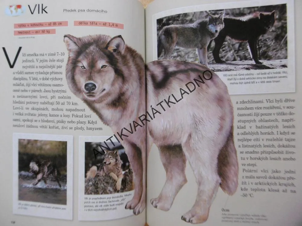ZAJÍMAVOSTI ZE SVĚTA ZVÍŘAT, **an