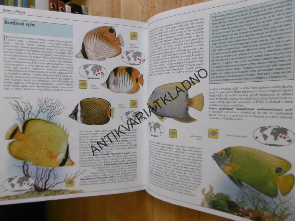SVĚT VZÁCNÝCH ZVÍŘAT NA PŘELOMU TISÍCILETÍ, KŮS, PFLEGER, KNOTEK, **an