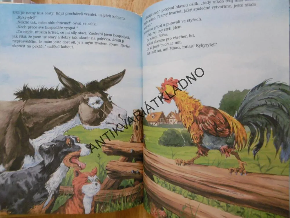 NEJKRÁSNĚJŠÍ POHÁDKY, BRATŘI GRIMMOVÉ¨, **an