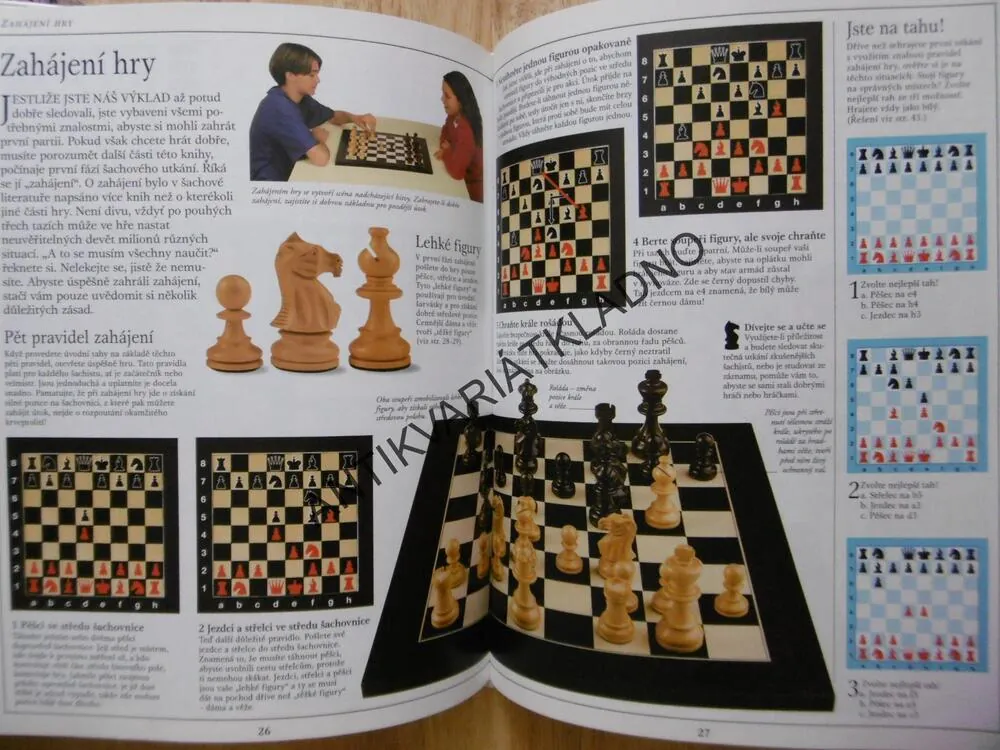 ŠACHY, PRAVIDLA, TECHNIKY, STRATEGIE, MICHAEL BASMAN