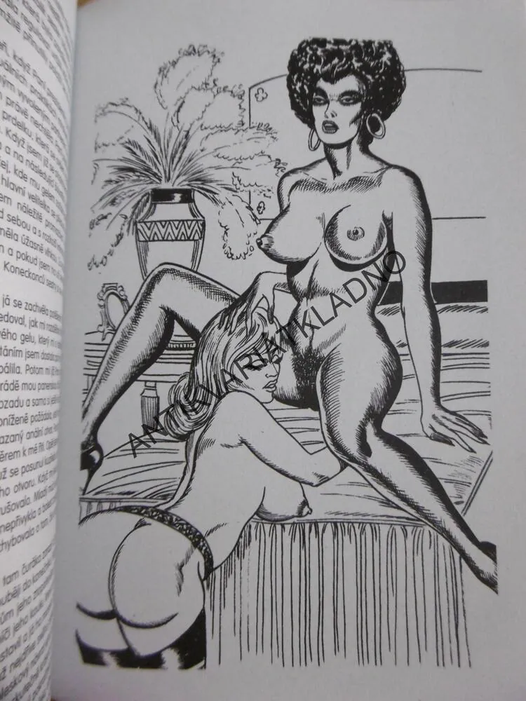 EMANUELLE 9. - UNIVERZITNÍ KURVY