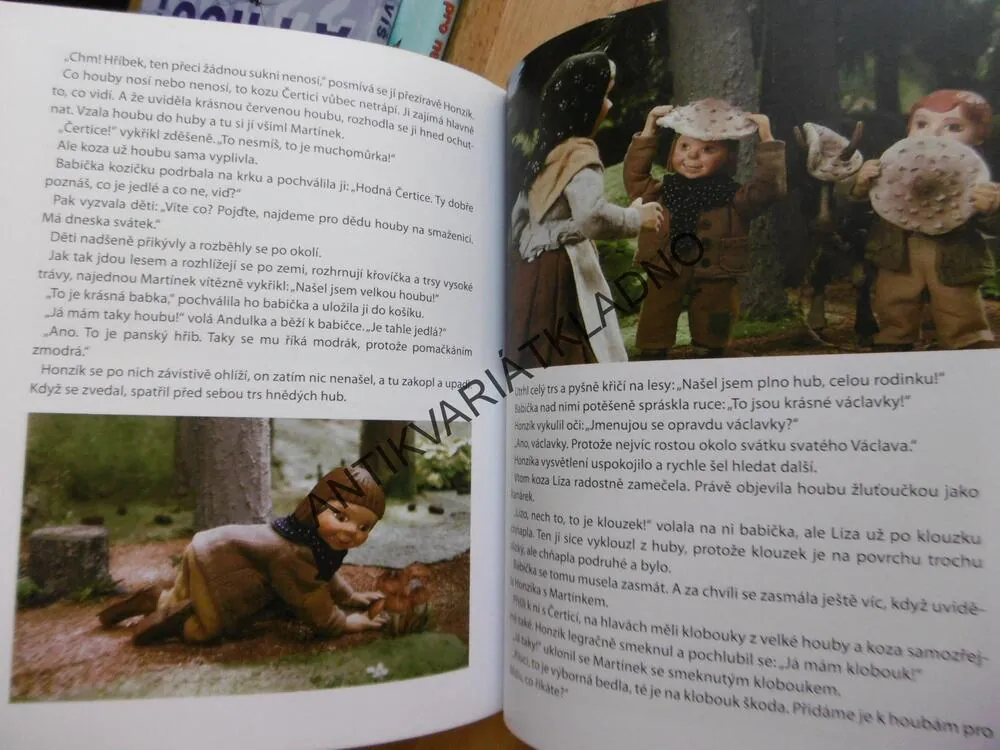 CHALOUPKA NA VRŠKU, ŠÁRKA VÁCHOVÁ, BEZ CD, **an