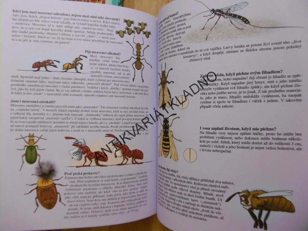 VÍŠ JAK A PROČ? OTÁZKY A ODPOVĚDI PRO ZVÍDAVÉ DĚTI, **an