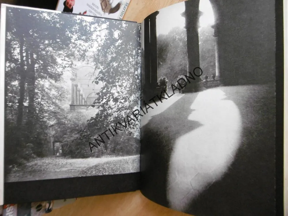 PRAŽSKÝ CHODEC, VÍTĚZSLAV NEZVAL, JOSEF SUDEK, FOTOGRAF, FOTOGRAFIE, **an