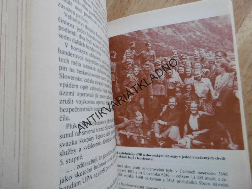 SMRT ZE ZÁLOHY, OTA HOLUB, **an