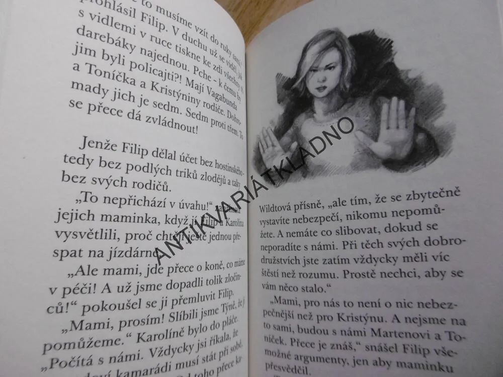 HON NA ZLODĚJE, KARIN MÜLLEROVÁ,KŮŇ, KONĚ, **an