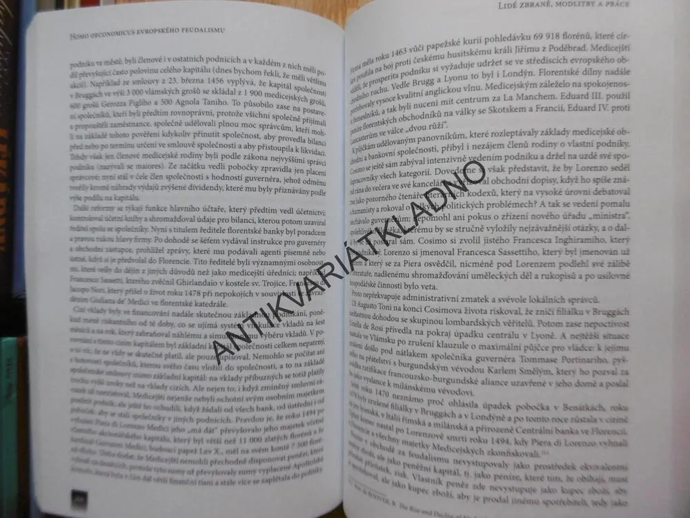HOMO OECONOMICUS EVROPSKÉHO FEUDALISMU, JIŘÍ BÍLÝ, **an