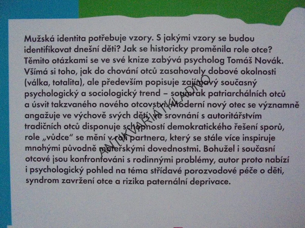 O OTCOVSKÉ ROLI, RODINA, DÍTĚ, PSYCHOLOGIE, NOVÁK
