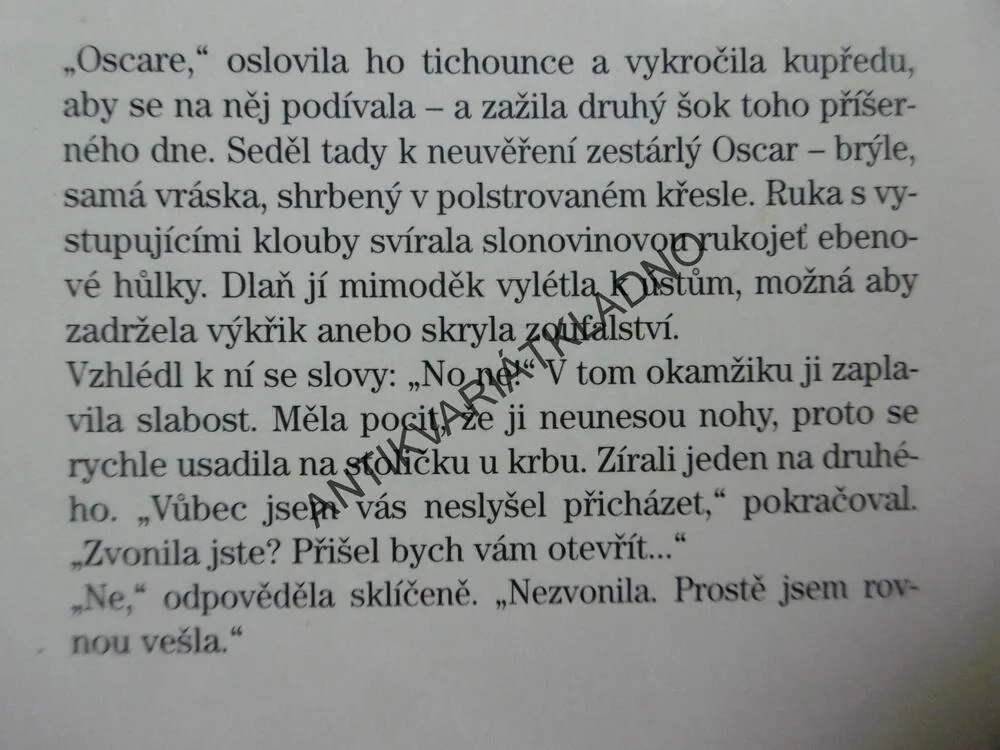 ZIMNÍ SLUNOVRAT, ROSAMUNDE PILCHER, **an