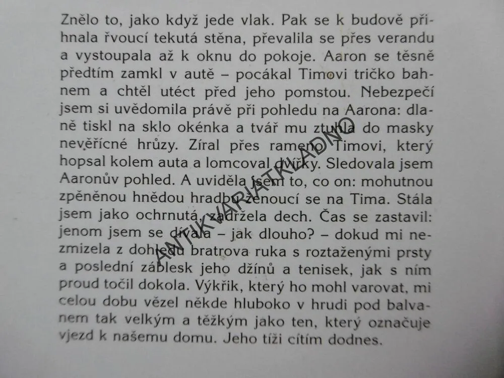 OCEÁN VZPOMÍNEK, LYNNE HUGOVÁ A ANNA TUTTLE VILEGASOVÁ, **an