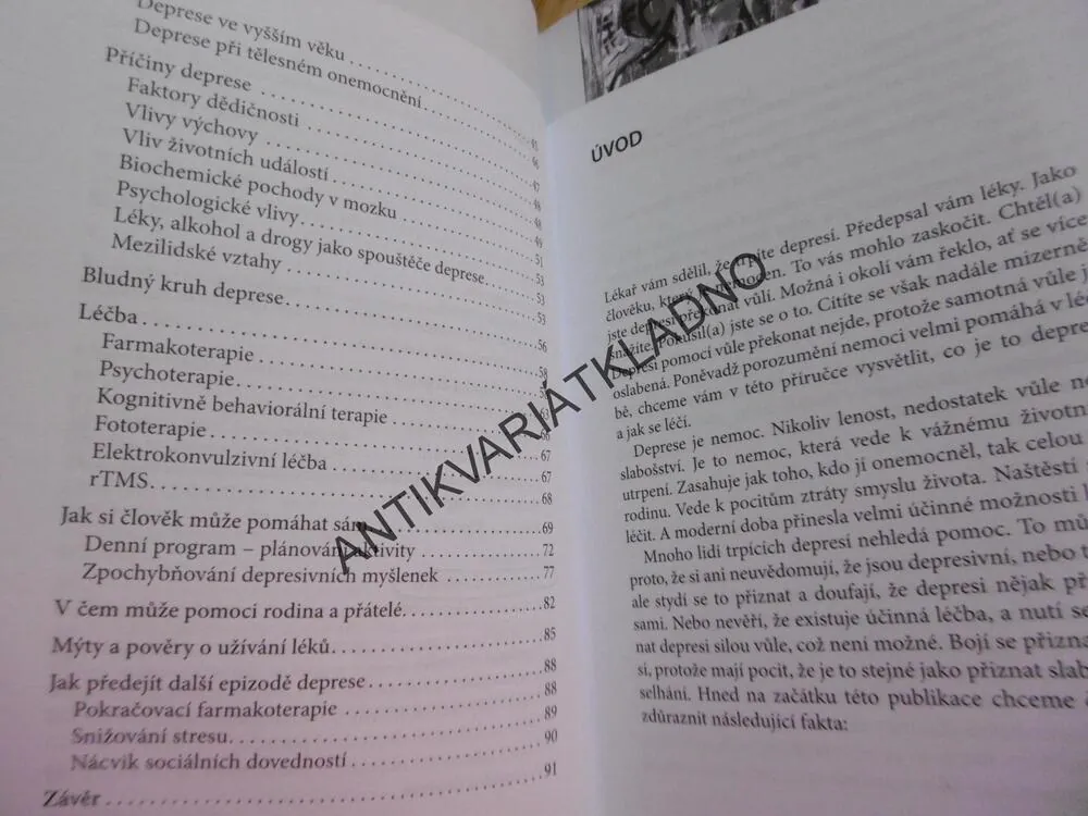 DEPRESIVNÍ PORUCHA A JAK JI PŘEKONAT, PRAŠKO, BULIKOVÁ,DEPRESE, PSYCHOLOGIE