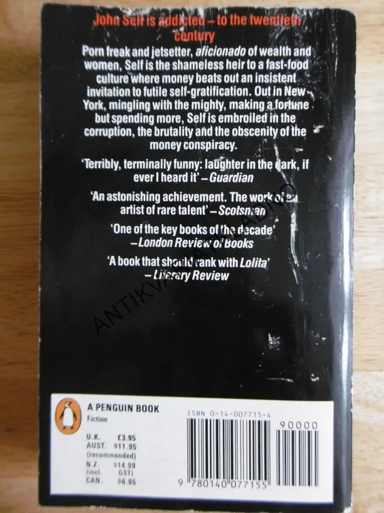 MONEY, MARTIN AMIS, ANGLICKY, **an