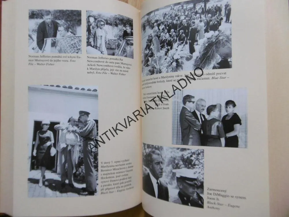 VRAŽDA MARILYN MONROE, DONALD WOLFE, HEREČKA, FILM, **an