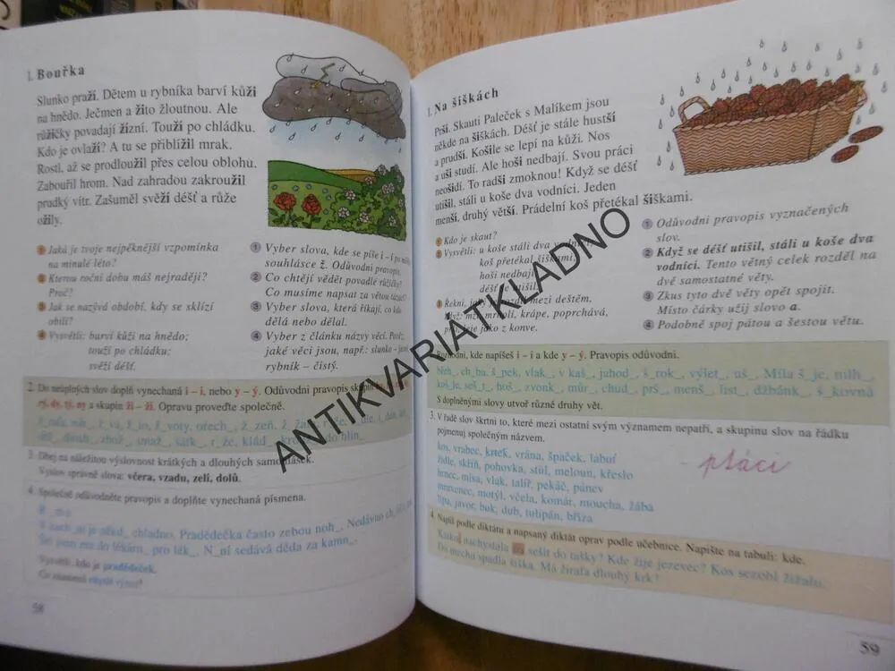 ČESKÝ JAZYK 2, Z. NOVÁKOVÁ, ŠVEJDOVÁ, 