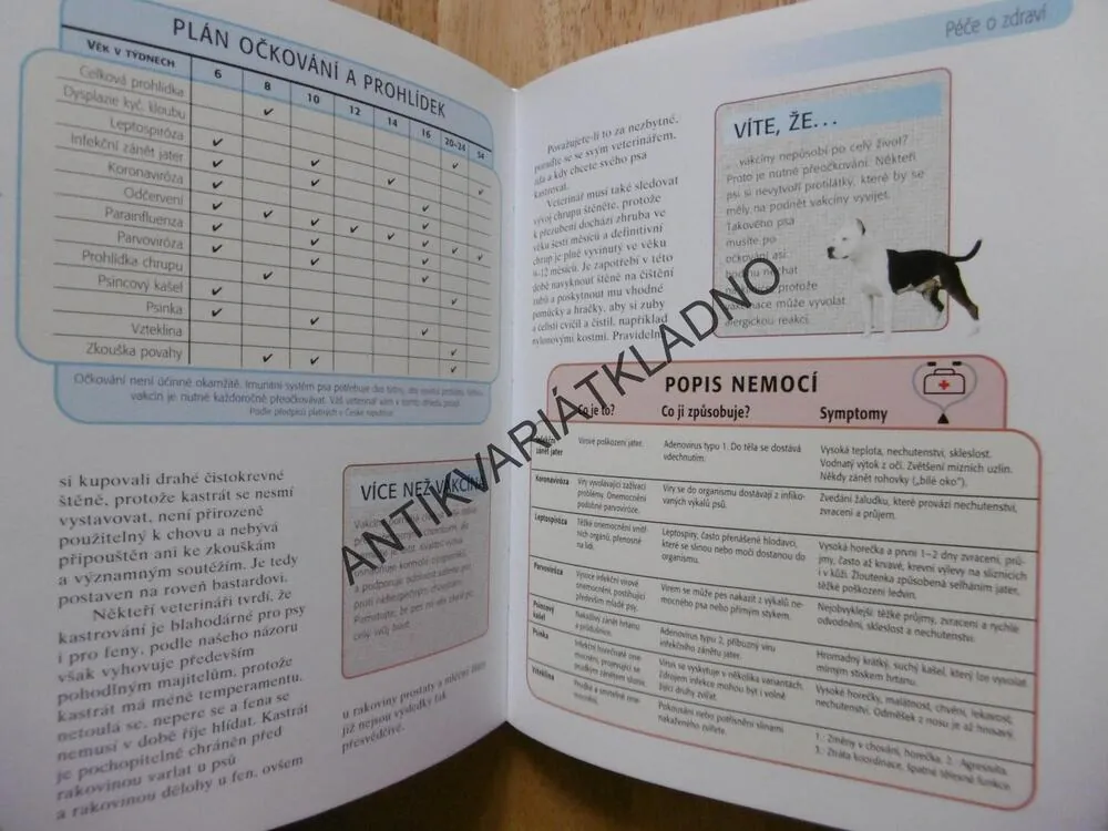 AMERICKÝ STAFORDŠIRSKÝ TERIÉR, PES, JOSEPH JANISH, **an