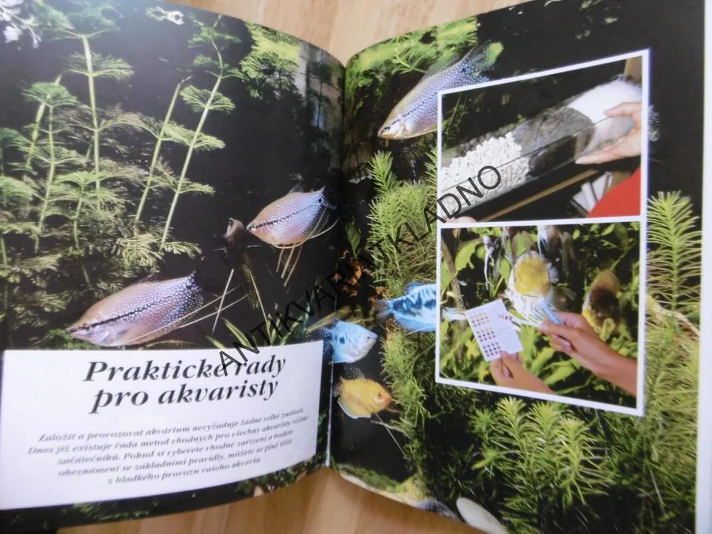 VELKÝ PRŮVODCE AKVÁRIEM, JAK POSTAVIT, ZAŘÍDIT A UDRŽOVAT AKVÁRIUM