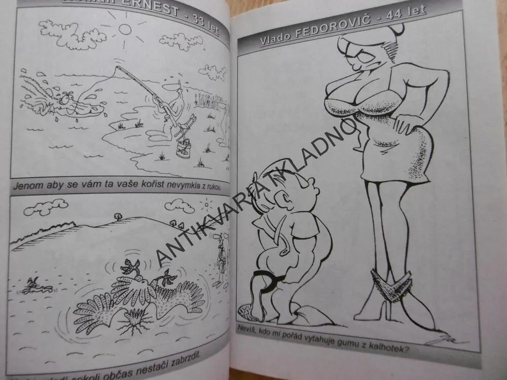 TRNKY BRNKY, TO NEJ Z TRNEK ZA 10 LET, VTIPY, HUMOR, 